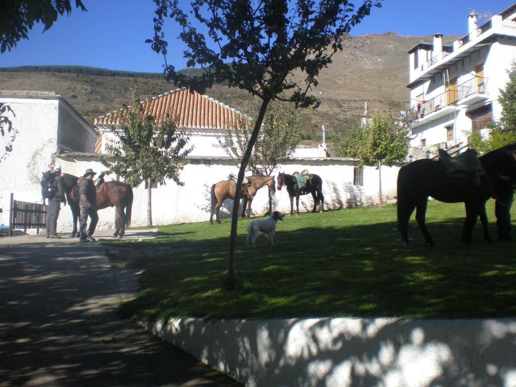 La Fragua II Otel Trevélez Dış mekan fotoğraf